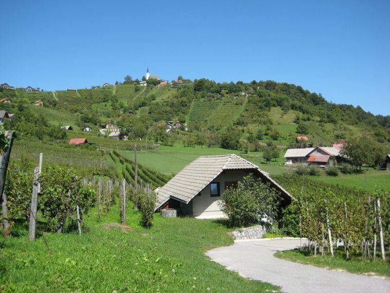 Koglo